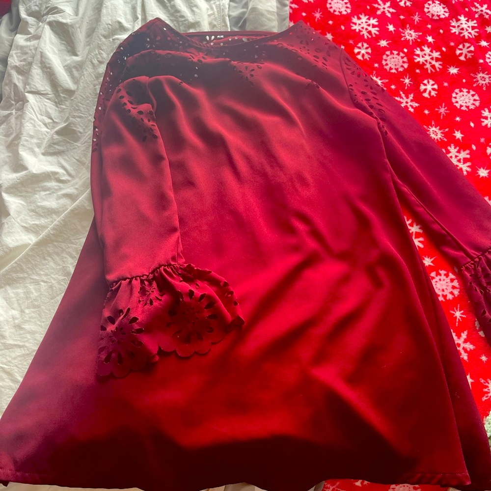 Amazon Long Sleeve Maroon Dress